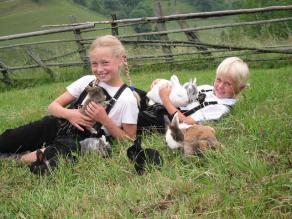 Kinder mit Kaninchen